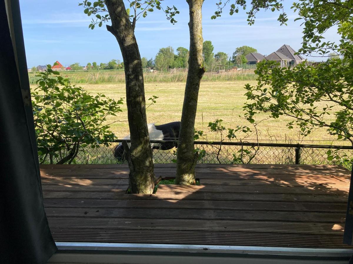 Het Oude Strandhuis Uitgeest Bagian luar foto